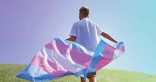 'Transhood' gives viewers a look into the lives of trans youth in America.|||Avery is the first trans person to grace the cover of National Geographic.|