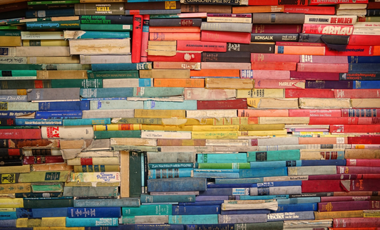 Drag queen books