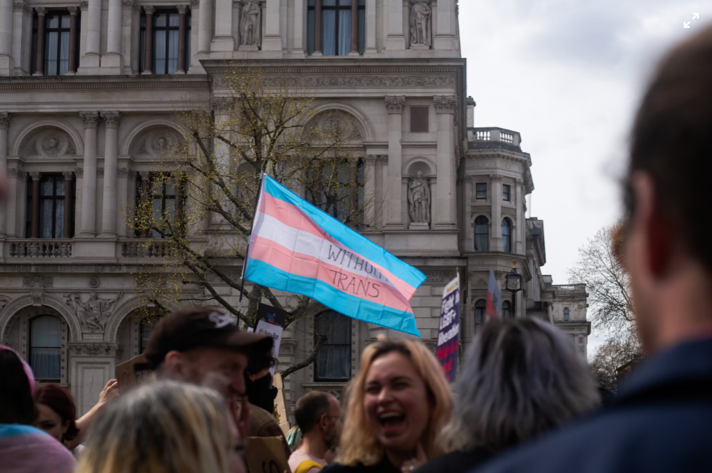 President Biden's moving proclamation this Transgender Visibility Day